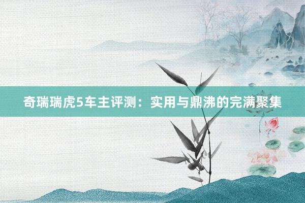 奇瑞瑞虎5车主评测：实用与鼎沸的完满聚集